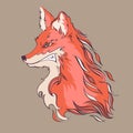 Angry fox, detailed cartoon style vector illustration