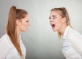 Angry fury girls screaming at each other