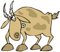 Angry Goat Royalty Free Stock Photo