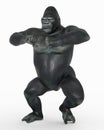 Angry gorilla beating its chest Royalty Free Stock Photo