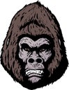 Angry gorilla face