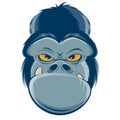 Angry gorilla head clipart Royalty Free Stock Photo