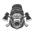 Angry gorilla head in lumberjack hat Royalty Free Stock Photo