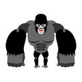 Angry gorilla on its hind legs. Aggressive Monkey on white background. Wild wrathful animal. Large ferocious predator. African st
