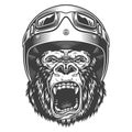 Angry gorilla in monochrome style Royalty Free Stock Photo