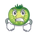 Angry green tomato slices in cartoon shape