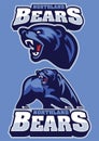 Angry grizzly bear mascot
