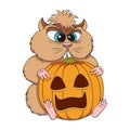Angry hamster sits with a pumpkin. Isolated vector color object.