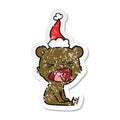 angry hand drawn distressed sticker cartoon of a bear wearing santa hat