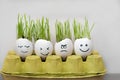 Angry and happy emotions faces drawing in the eggs shell. Fresh growing green  wheat sprouts Royalty Free Stock Photo