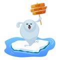 Angry harp seal holding a protest sign Royalty Free Stock Photo