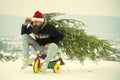 Angry hipster carrying xmas tree on white snow Royalty Free Stock Photo