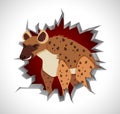 Angry hyena coming out of cracked wall