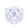 Angry Jaguar Head Drawing