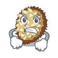 Angry juicy marang fruit in glas character Royalty Free Stock Photo