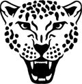 Angry leopard gepard head