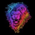 Angry lion colorful vector illustration