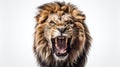 Angry lion head generative AI Royalty Free Stock Photo