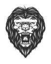 angry lion head in monochrome style isolated vector Royalty Free Stock Photo