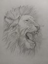 The Angry Lion