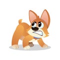 Angry little corgi growling and showing his teeth. Cartoon dog character standing in aggressive pose. Domestic animal