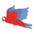 Angry macaw icon cartoon vector. Tropical bird