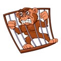Angry monkey in cage