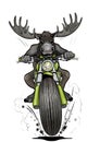 Moose-biker Royalty Free Stock Photo