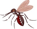 Angry mosquito cartoon Royalty Free Stock Photo