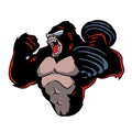 Angry muscular gorilla with dumbbells