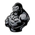 angry muscular torso gorilla with crossed arms