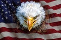 An angry north american bald eagle on american flag