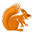 Angry orange squirrel. Royalty Free Stock Photo