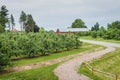 Angry Orchard Apple Tree Orchard Royalty Free Stock Photo