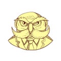 Angry Owl Man Mustache Doodle Color Royalty Free Stock Photo