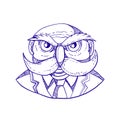 Angry Owl Man Mustache Doodle Royalty Free Stock Photo