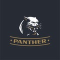 The angry panther