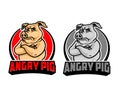 Angry Pig Cartoon Logo