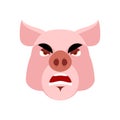 Angry pig. Evil boar. grumpy hog. Aggressive piggy