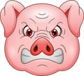 Angry pig head cartoon mascot Royalty Free Stock Photo