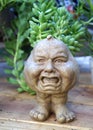 Angry pumpkin head garden pot