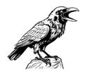 Angry raven head sketch hand drawn Vector illustration Wild birds