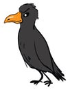 Angry raven, illustration, vector