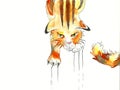 Angry red tabby cat scratching the surface watercolor