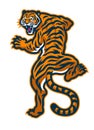 Angry Roaring Tiger Mascot Logo Royalty Free Stock Photo