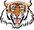 Angry roaring toothy tiger face color vector illustration Royalty Free Stock Photo