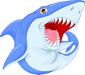 Angry shark cartoon Royalty Free Stock Photo