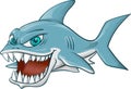 Angry shark cartoon on white background