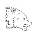 Angry snarling wolf, angry wolf growls, wolf head, vector sketch illustration Royalty Free Stock Photo