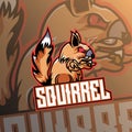 Angry Squirrel Mascot for e-sport team Royalty Free Stock Photo